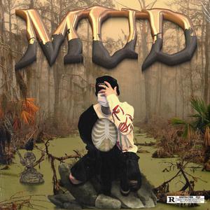 大鸡巴操美女的逼
