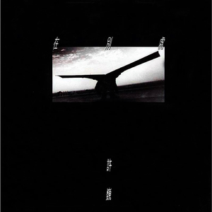 大鸡巴操美女的逼
