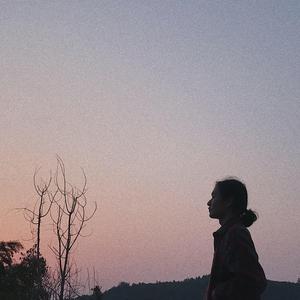 大鸡巴操美女的逼
