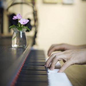 大鸡巴操美女的逼
