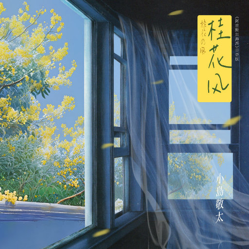 大鸡巴操美女的逼
