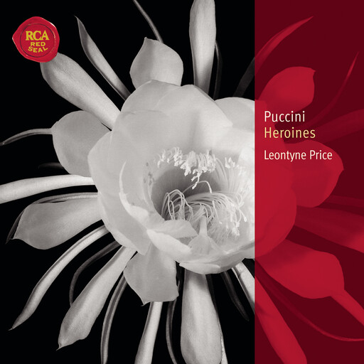 大鸡巴操美女的逼
